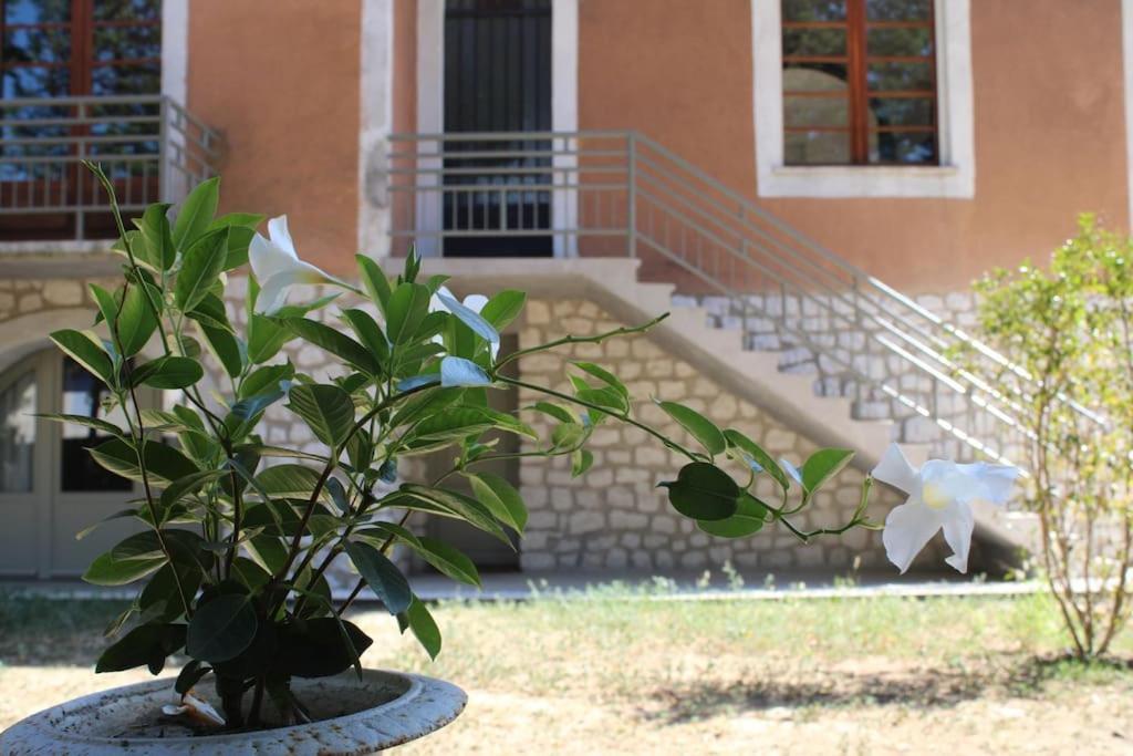 La Provencale Apartment Uzes Ngoại thất bức ảnh